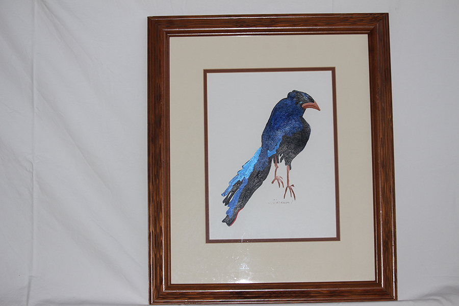 Turtle Island Native Gallery