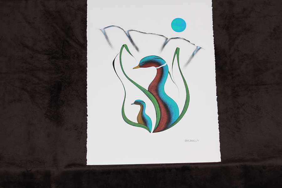 Turtle Island Native Gallery