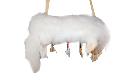 Turtle Island Native Gallery