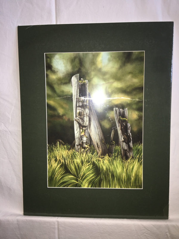 Turtle Island Native Gallery