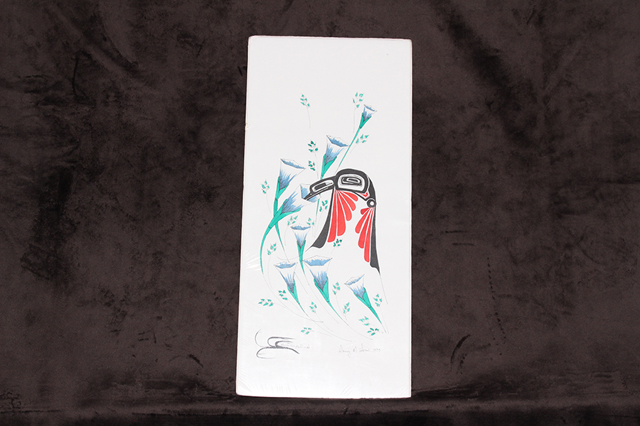 Turtle Island Native Gallery